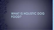 What is holistic dog food?