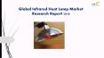 Global Infrared Heat Lamp Market Research Report 2018 PowerPoint PPT Presentation