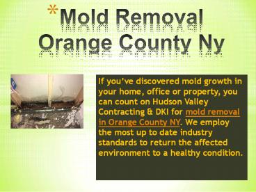 Hudson Valley DKI (1)