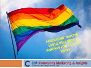 CMI's LGBT Research, Panel and Conferences