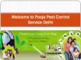 Pooja Pest Control Service in Delhi PowerPoint PPT Presentation