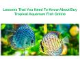 Buy tropical aquarium fish online