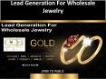 Lead Generation For Wholesale Jewelry PowerPoint PPT Presentation