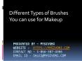 Different types makeup brushes you can use for makeup PowerPoint PPT Presentation
