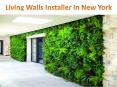 New York Living Wall Installers PowerPoint PPT Presentation