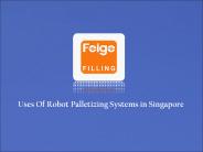 Robot Palletizing System