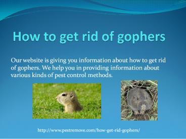 HOW TO GET RID OF GOPHERS
