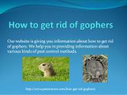 HOW TO GET RID OF GOPHERS