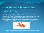 HOW TO MAKE HOME MADE CRICKET TRAP
