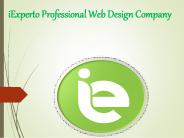 iExperto Professional Web Design Company