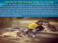 Choosing the Right Boarding Facility For Your Dog PowerPoint PPT Presentation