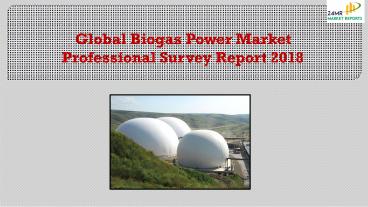 Global Biogas Power Market Professional Survey Report 2018