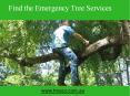 Find the Emergency Tree Services Brisbane Southside PowerPoint PPT Presentation