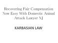 Recovering Fair Compensation Now Easy With Domestic Animal Attack Lawyer NJ PowerPoint PPT Presentation