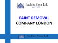 PAINT CLEANING & REMOVAL SERVICE IN LONDON & ESSEX PowerPoint PPT Presentation