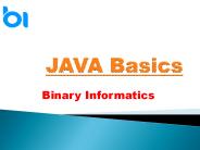 Java language basics