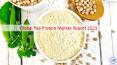 Global Pea Protein Market by Manufacturers, Regions, Type and Application, Forecast to 2023 PowerPoint PPT Presentation