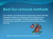 BEST LICE REMOVAL METHODS