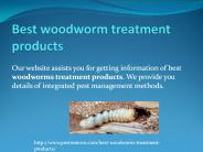 BEST WOODWORM TREATMENT PRODUCTS