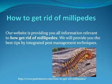 HOW TO GET RID OF MILLIPEDES