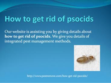 HOW TO GET RID OF PSOCIDS