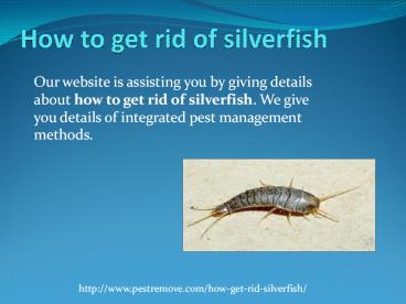 HOW TO GET RID OF SILVERFISH