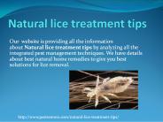 NATURAL LICE TREATMENT TIPS