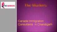 Canada Immigration Consultants in Chandigarh