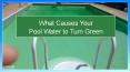 What Causes your Pool Water to Turn Green PowerPoint PPT Presentation