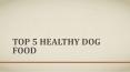 Top 5 Healthy Dog Food