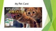 Pet Health Issues