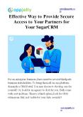 Effective Way to Provide Secure Access to Your Partners for Your SugarCRM PowerPoint PPT Presentation