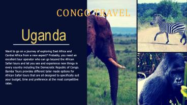 Gorilla Trekking Uganda