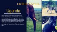 Gorilla Trekking Uganda