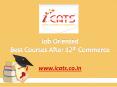 Job oriented best courses after 12th commerce-iCATS PowerPoint PPT Presentation