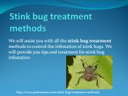 STINK BUG TREATMENT METHODS