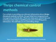 THRIPS CHEMICAL CONTROL METHODS