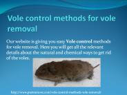 VOLE CONTROL METHODS FOR VOLE REMOVAL