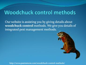 WOODCHUCK CONTROL METHODS
