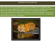 SUNDARBAN TOUR PACKAGE COST
