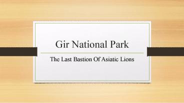 Wildlife Safaris and Birding Tours