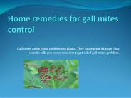HOME REMEDIES FOR GALL MITES CONTROL