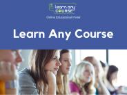 SEO Training Institutes