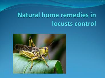 NATURAL HOME REMEDIES IN LOCUSTS CONTROL