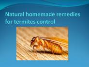 NATURAL HOMEMADE REMEDIES FOR SNAKES REMOVAL (1)