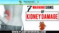 7 Warning Signs of Kidney Disease PowerPoint PPT Presentation