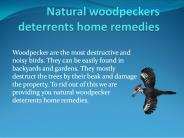 NATURAL WOODPECKERS DETERRENTS HOME REMEDIES