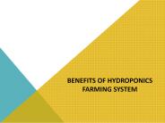 Benefits of Hydroponics Farming System