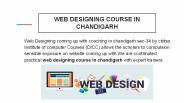 web designing course in chandigarh