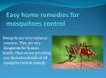 EASY HOME REMEDIES FOR MOSQUITOES CONTROL PowerPoint PPT Presentation